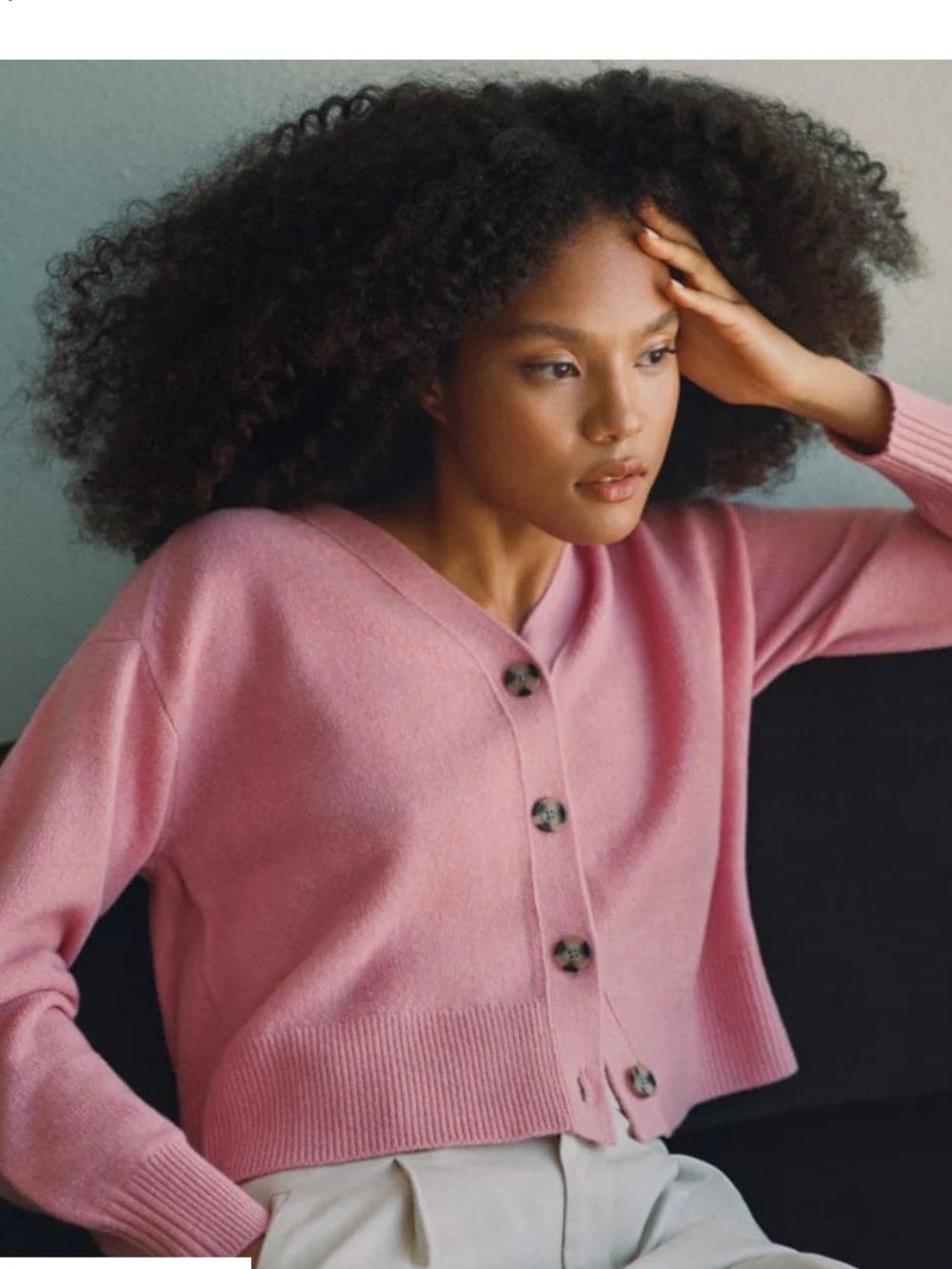 NWOT Everlane The Cashmere Cardigan in Bubblegum